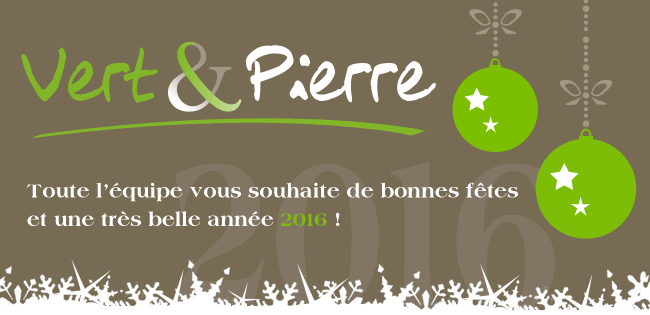 Voeux de Vert & Pierre pour une belle année 2016!